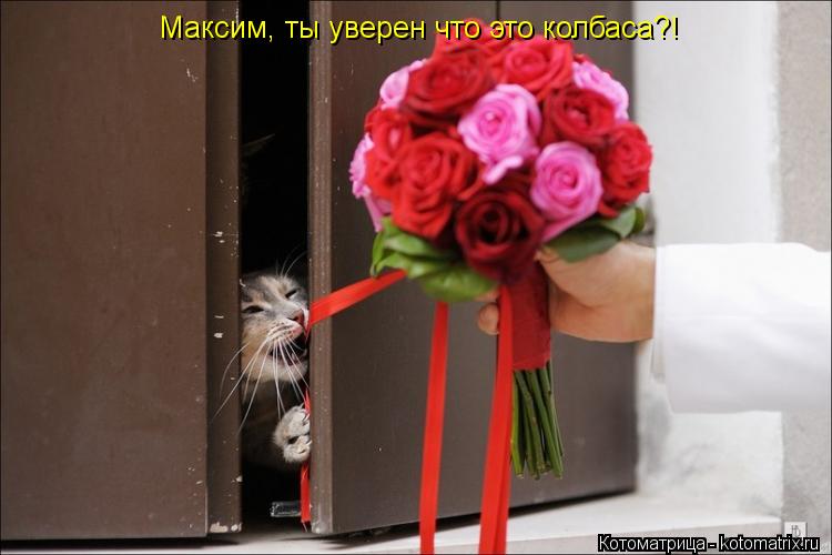 Максим, ты уверен что это колбаса?!... Котоматрица: Максим, ты уверен что это колбаса?!