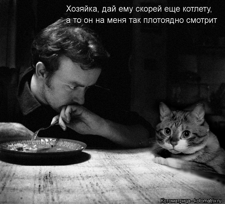 Хозяйка, дай ему скорей еще котлету, а то он на меня так плотоядно смотрит... Котоматрица: Хозяйка, дай ему скорей еще котлету, а то он на меня так плотоядно смотрит