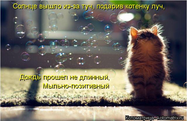 Солнце вышло из-за туч, подарив котенку луч, Дождь прошел не длинный, Мыльно-позитивный... Котоматрица: Солнце вышло из-за туч, подарив котенку луч, Дождь прошел не длинный, Мыльно-позитивный