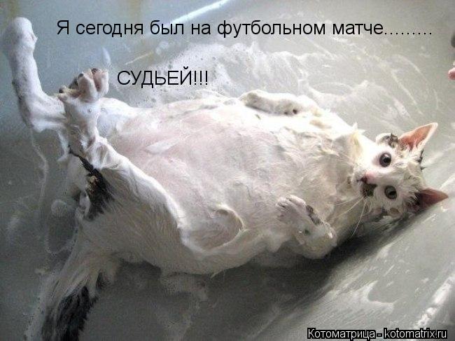 Я сегодня был на футбольном матче......... СУДЬЕЙ!!!... Котоматрица: Я сегодня был на футбольном матче......... СУДЬЕЙ!!!