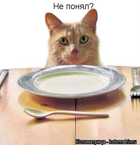 Не понял?... Котоматрица: Не понял?