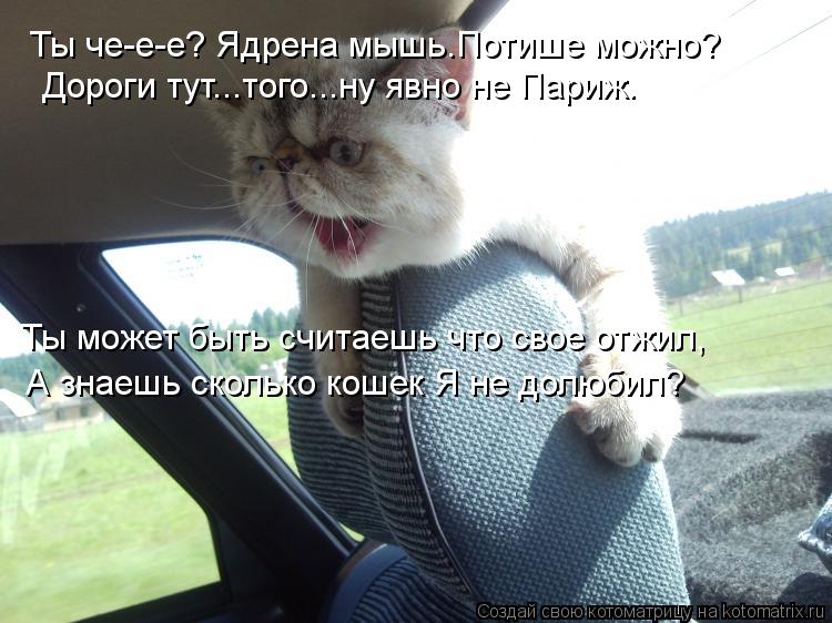 Котоматрица: Ты че-е-е? Ядрена мышь.Потише можно? Дороги тут...того...ну явно не Париж. Ты может быть считаешь что свое отжил, А знаешь сколько кошек Я не дол