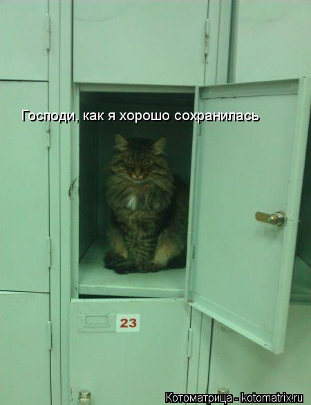 Господи, как я хорошо сохранилась... Котоматрица: Господи, как я хорошо сохранилась