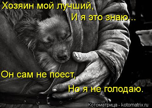 Хозяин мой лучший, И я это знаю... Он сам не поест, Но я не голодаю.... Котоматрица: Хозяин мой лучший, И я это знаю... Он сам не поест, Но я не голодаю.