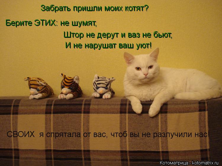 Забрать пришли моих котят? Берите ЭТИХ: не шумят, Штор не дерут и ваз не бьют, И не нарушат ваш уют!... Котоматрица: Забрать пришли моих котят? Берите ЭТИХ: не шумят, Штор не дерут и ваз не бьют, И не нарушат ваш уют! СВОИХ я спрятала от вас, чтоб вы не разлуч