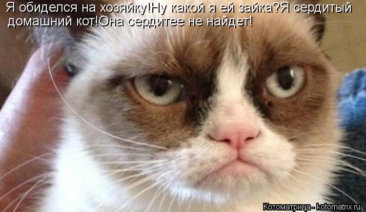 Я обиделся на хозяйку!Ну какой я ей зайка?Я сердитый домашний кот!Она сердитее не найдет!... Котоматрица: Я обиделся на хозяйку!Ну какой я ей зайка?Я сердитый домашний кот!Она сердитее не найдет!