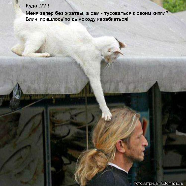 Куда..??!! Блин, пришлось по дымоходу карабкаться! Меня запер без жратвы, а сам - тусоваться к своим ... Котоматрица: Куда..??!! Блин, пришлось по дымоходу карабкаться! Меня запер без жратвы, а сам - тусоваться к своим хиппи?!