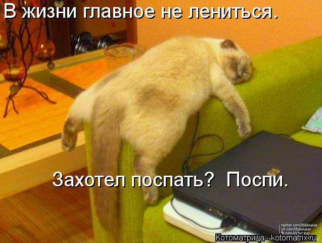 В жизни главное не лениться. Захотел поспать? Поспи.... Котоматрица: В жизни главное не лениться. Захотел поспать? Поспи.