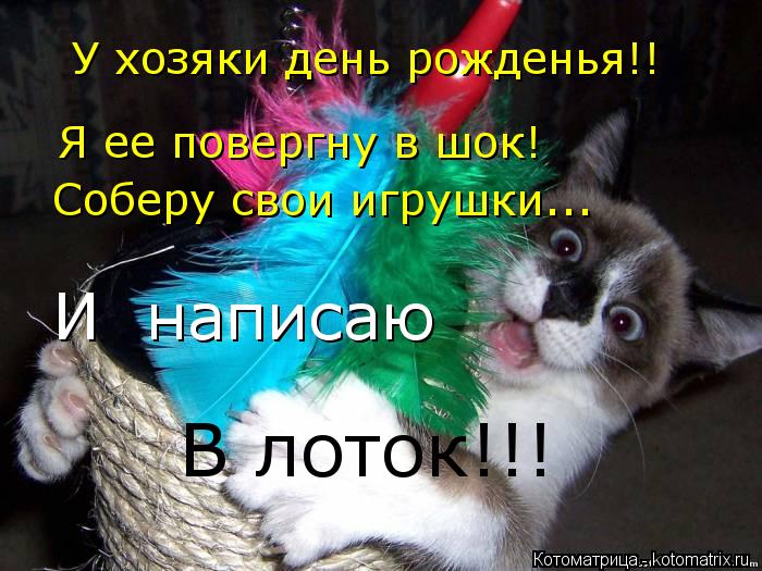 Котоматрица: У хозяки день рожденья!! Я ее повергну в шок! Соберу свои игрушки... И  написаю В лоток!!!