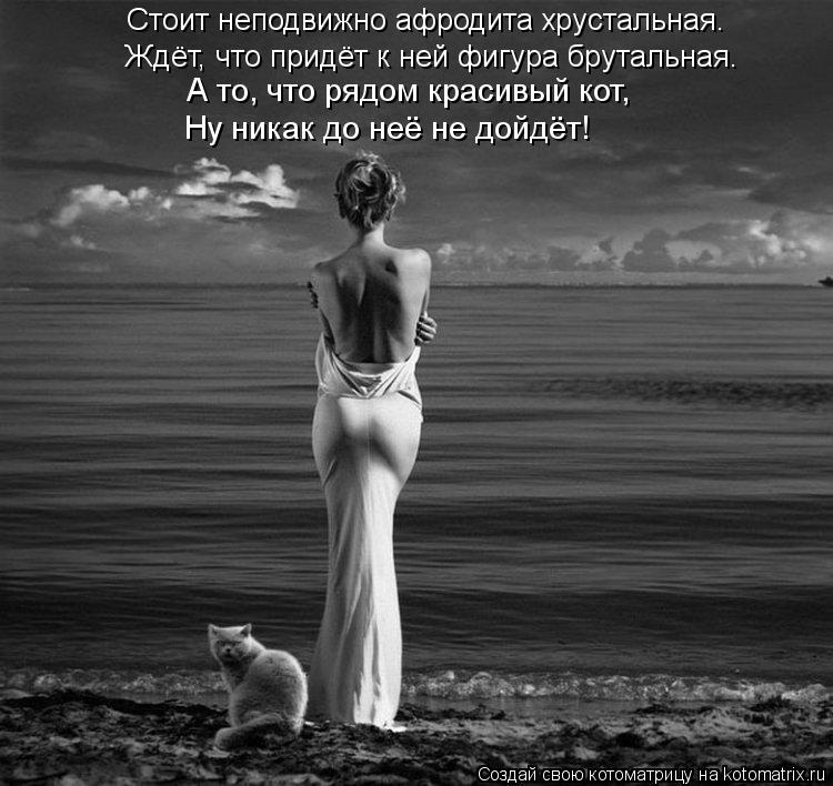 Стоит неподвижно афродита хрустальная. Ждёт, что придёт к ней фигура брутальная. А то, что рядом кр... Котоматрица: Стоит неподвижно афродита хрустальная. Ждёт, что придёт к ней фигура брутальная. А то, что рядом красивый кот, Ну никак до неё не дойдёт!