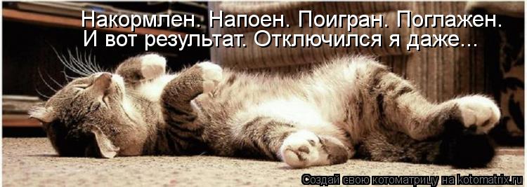 Накормлен. Напоен. Поигран. Поглажен. И вот результат. Отключился я даже...... Котоматрица: Накормлен. Напоен. Поигран. Поглажен. И вот результат. Отключился я даже...