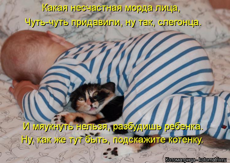 Какая несчастная морда лица, Чуть-чуть придавили, ну так, слегонца. И мяукнуть нельзя, разбудишь ребе... Котоматрица: Какая несчастная морда лица, Чуть-чуть придавили, ну так, слегонца. И мяукнуть нельзя, разбудишь ребенка. Ну, как же тут быть, подскажите коте