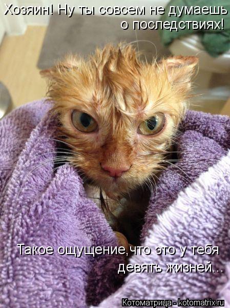 Хозяин! Ну ты совсем не думаешь о последствиях! Такое ощущение,что это у тебя девять жизней...... Котоматрица: Хозяин! Ну ты совсем не думаешь о последствиях! Такое ощущение,что это у тебя девять жизней...
