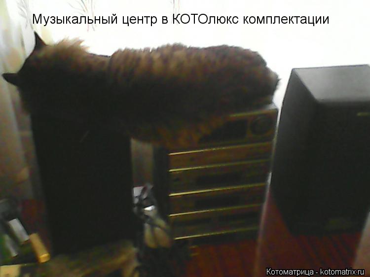Музыкальный центр в КОТОлюкс комплектации... Котоматрица: Музыкальный центр в КОТОлюкс комплектации