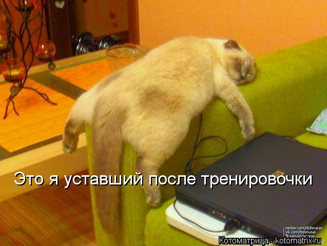 Котоматрица: Это я уставший после тренировочки