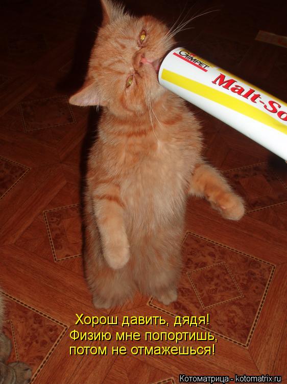 Физию мне попортишь, потом не отмажешься! Хорош давить, дядя!... Котоматрица: Физию мне попортишь, потом не отмажешься! Хорош давить, дядя!