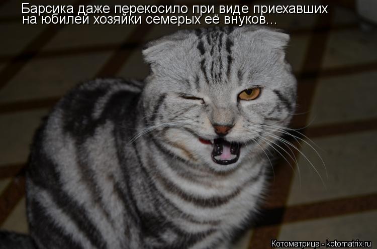 Барсика даже перекосило при виде приехавших на юбилей хозяйки семерых её внуков...... Котоматрица: Барсика даже перекосило при виде приехавших на юбилей хозяйки семерых её внуков...