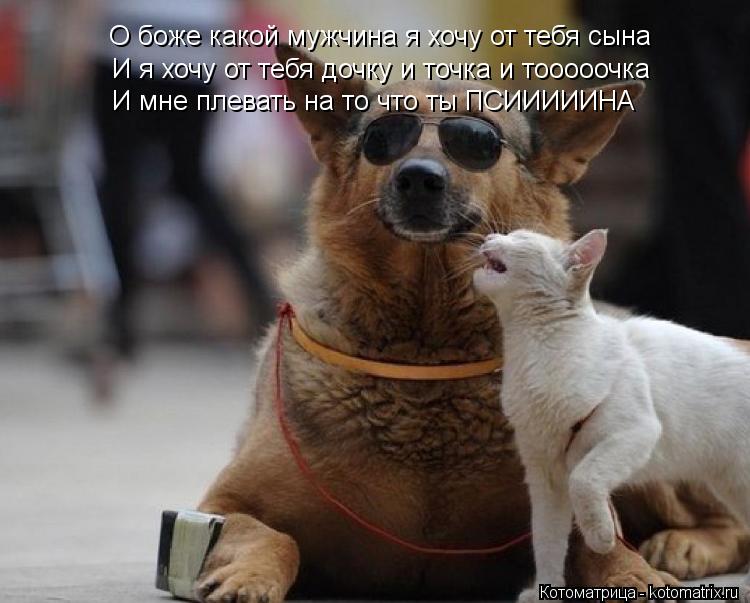 О боже какой мужчина я хочу от тебя сына И я хочу от тебя дочку и точка и тооооочка И мне плевать на ... Котоматрица: О боже какой мужчина я хочу от тебя сына И я хочу от тебя дочку и точка и тооооочка И мне плевать на то что ты ПСИИИИИНА