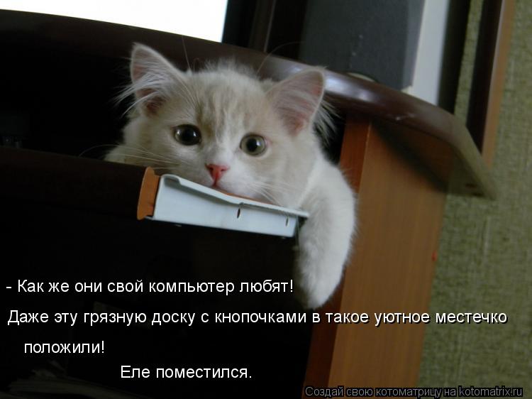 - Как же они свой компьютер любят! Даже эту грязную доску с кнопочками в такое уютное местечко поло... Котоматрица: - Как же они свой компьютер любят! Даже эту грязную доску с кнопочками в такое уютное местечко положили! Еле поместился.