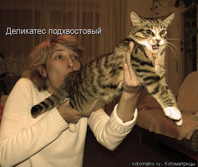 Деликатес подхвостовый... Котоматрица: Деликатес подхвостовый