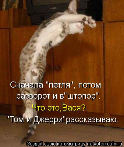 Сначала "петля", потом разворот и в"штопор". Что это,Вася? "Том и Джерри"рассказываю.... Котоматрица: Сначала "петля", потом разворот и в"штопор". Что это,Вася? "Том и Джерри"рассказываю.