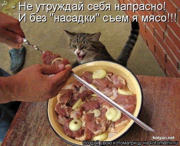 - Не утруждай себя напрасно! И без "насадки" съем я мясо!!!... Котоматрица: - Не утруждай себя напрасно! И без "насадки" съем я мясо!!!