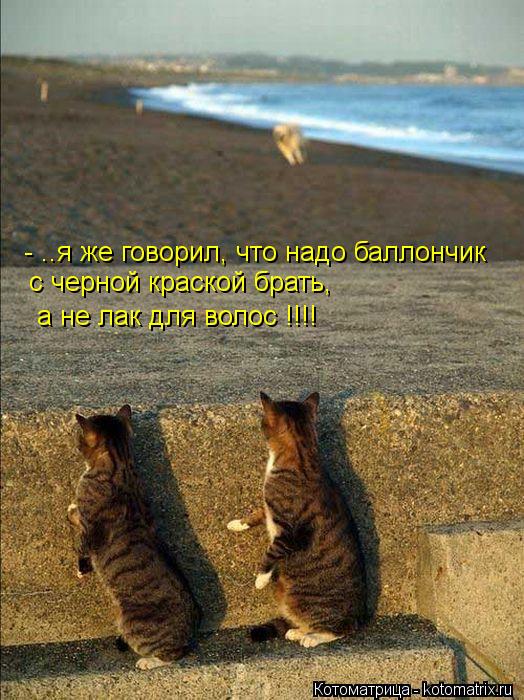 - ..я же говорил, что надо баллончик с черной краской брать, а не лак для волос !!!!... Котоматрица: - ..я же говорил, что надо баллончик с черной краской брать, а не лак для волос !!!!