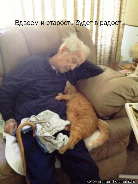 Вдвоем и старость будет в радость... Котоматрица: Вдвоем и старость будет в радость