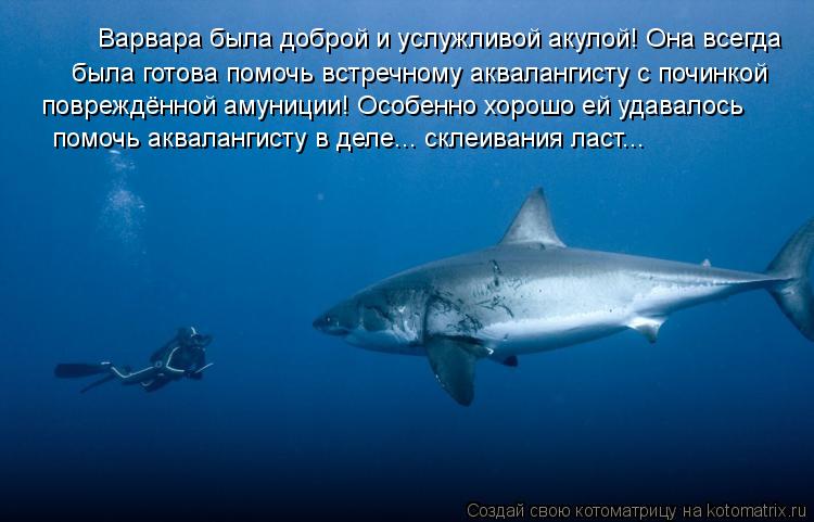 Варвара была доброй и услужливой акулой! Она всегда была готова помочь встречному аквалангисту с почи... Котоматрица: Варвара была доброй и услужливой акулой! Она всегда была готова помочь встречному аквалангисту с починкой повреждённой амуниции! Особенн
