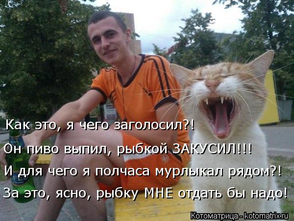 Как это, я чего заголосил?! Он пиво выпил, рыбкой ЗАКУСИЛ!!! И для чего я полчаса мурлыкал рядом?! За... Котоматрица: Как это, я чего заголосил?! Он пиво выпил, рыбкой ЗАКУСИЛ!!! И для чего я полчаса мурлыкал рядом?! За это, ясно, рыбку МНЕ отдать бы надо!