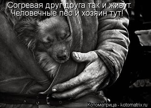 Согревая друг друга так и живут. Человечные пес и хозяин тут!... Котоматрица: Согревая друг друга так и живут. Человечные пес и хозяин тут!