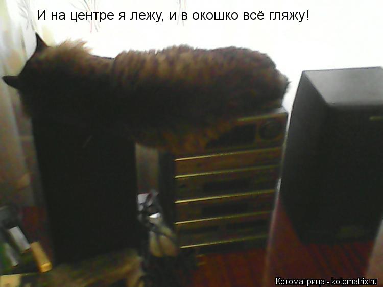 Котоматрица: И на центре я лежу, и в окошко всё гляжу!