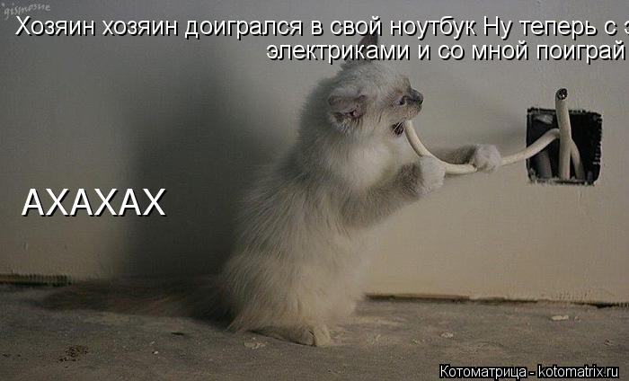 Котоматрица: Хозяин хозяин доигрался в свой ноутбук Ну теперь с электриками и со мной поиграй электриками и со мной поиграй АХАХАХ