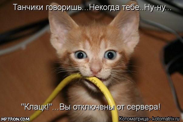 Котоматрица: Танчики говоришь...Некогда тебе..Ну-ну... "Клацк!"...Вы отключены от сервера!
