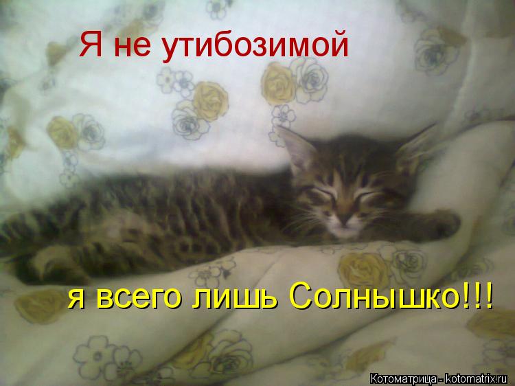 Я не утибозимой я всего лишь Солнышко!!!... Котоматрица: Я не утибозимой я всего лишь Солнышко!!!