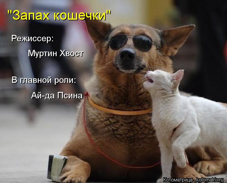 "Запах кошечки" Режиссер: Муртин Хвост В главной роли: Ай-да Псина... Котоматрица: "Запах кошечки" Режиссер: Муртин Хвост В главной роли: Ай-да Псина