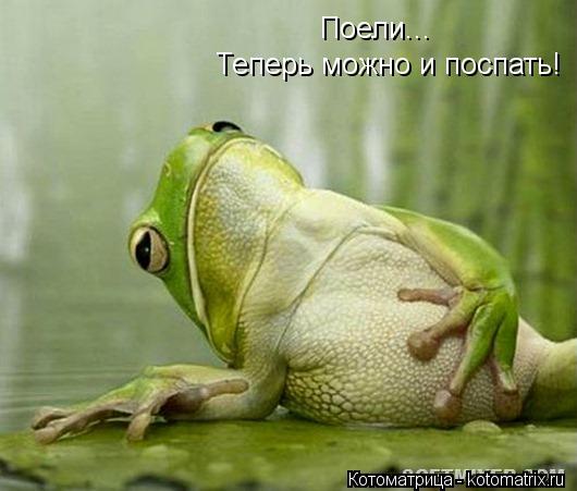 Котоматрица: Поели... Теперь можно и поспать!
