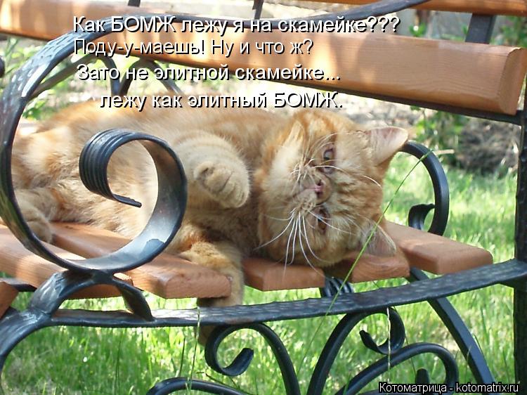 Котоматрица: Как БОМЖ лежу я на скамейке??? Поду-у-маешь! Ну и что ж? Зато не элитной скамейке... лежу как элитный БОМЖ.