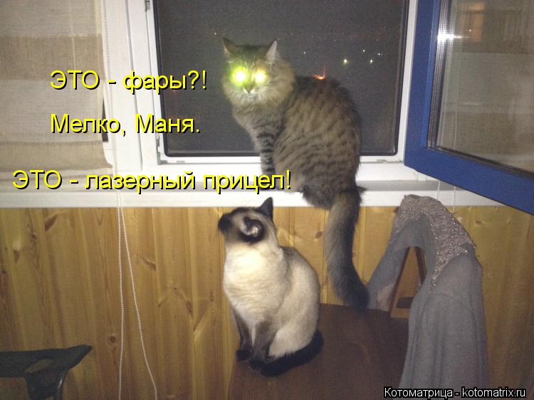 Котоматрица: ЭТО - фары?! Мелко, Маня. ЭТО - лазерный прицел!