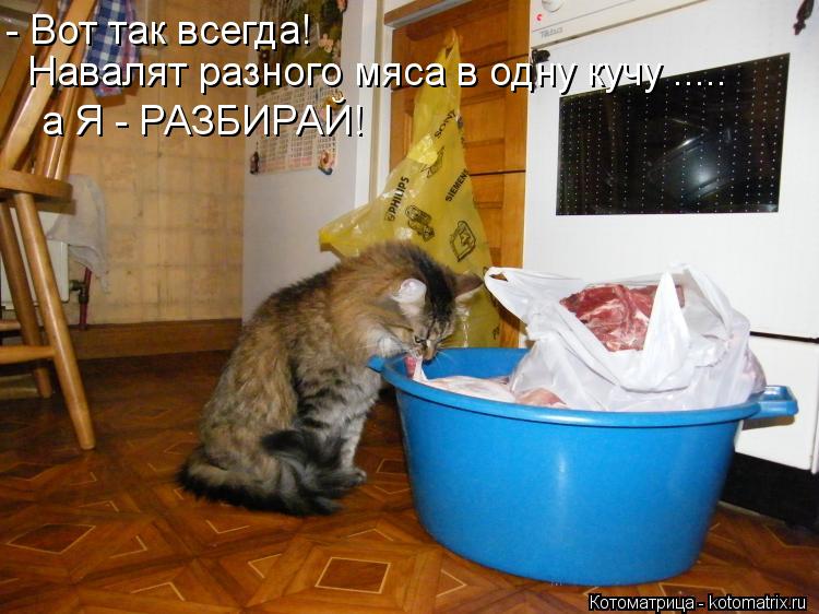 - Вот так всегда! Навалят разного мяса в одну кучу ..... а Я - РАЗБИРАЙ!... Котоматрица: - Вот так всегда! Навалят разного мяса в одну кучу ..... а Я - РАЗБИРАЙ!