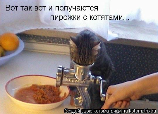 Вот так вот и получаются пирожки с котятами...... Котоматрица: Вот так вот и получаются пирожки с котятами...