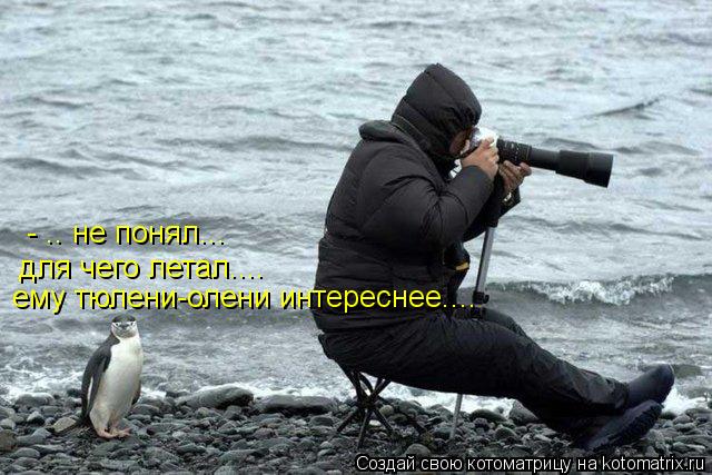 - .. не понял... для чего летал.... ему тюлени-олени интереснее....... Котоматрица: - .. не понял... для чего летал.... ему тюлени-олени интереснее....