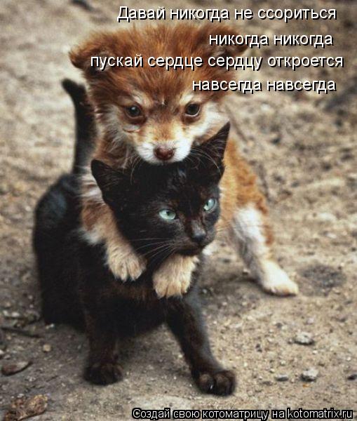 Давай никогда не ссориться никогда никогда пускай сердце сердцу откроется навсегда навсегда... Котоматрица: Давай никогда не ссориться никогда никогда пускай сердце сердцу откроется навсегда навсегда