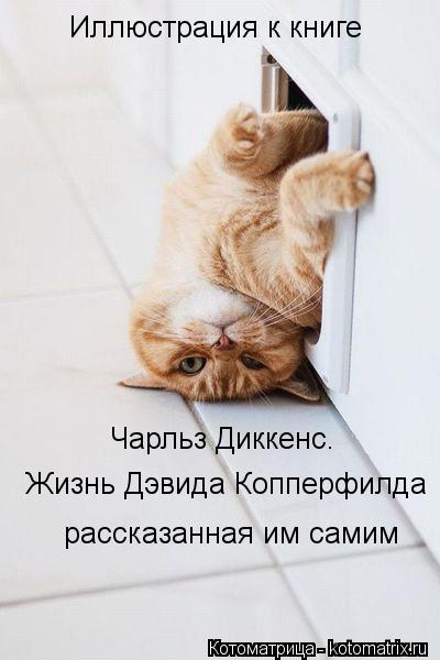 Котоматрица: Иллюстрация к книге Чарльз Диккенс. Жизнь Дэвида Копперфилда рассказанная им самим