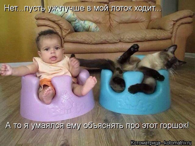 Котоматрица: Нет...пусть уж лучше в мой лоток ходит... А то я умаялся ему объяснять про этот горшок!