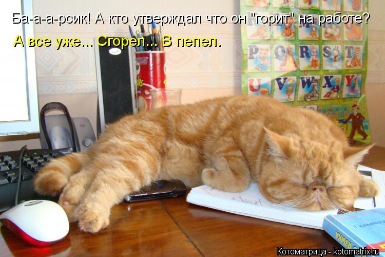 Котоматрица: Ба-а-а-рсик! А кто утверждал что он "горит" на работе? А все уже... Сгорел... В пепел.