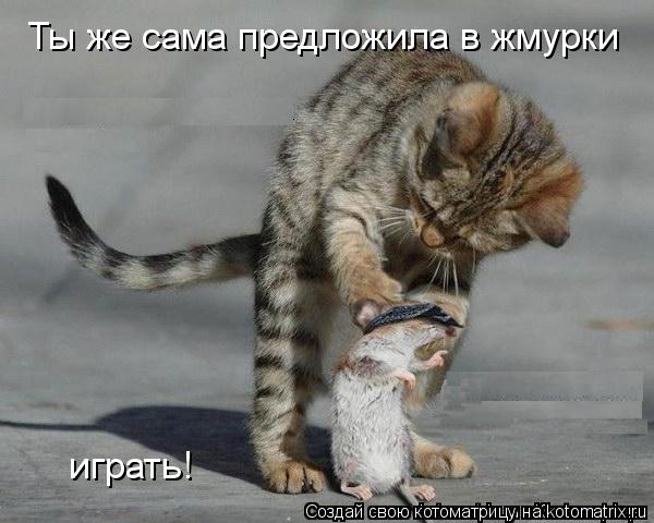 Котоматрица: Ты же сама предложила в жмурки играть!