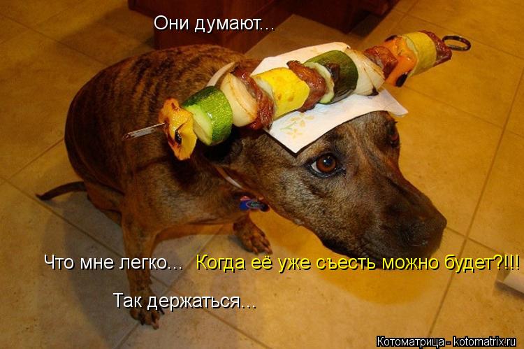 Котоматрица: Они думают... Что мне легко... Так держаться... Когда её уже съесть можно будет?!!!