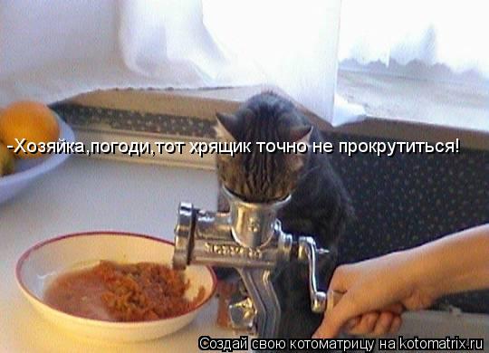-Хозяйка,погоди,тот хрящик точно не прокрутиться!... Котоматрица: -Хозяйка,погоди,тот хрящик точно не прокрутиться!