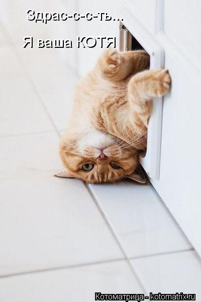 Здрас-с-с-ть... Я ваша КОТЯ... Котоматрица: Здрас-с-с-ть... Я ваша КОТЯ